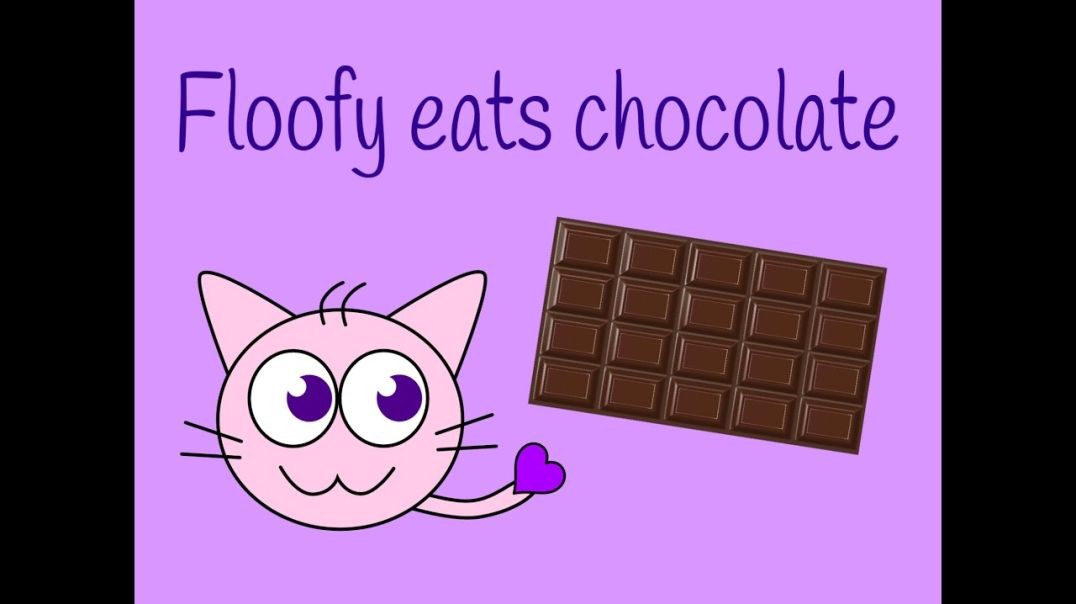 ⁣Floofy eats chocolate