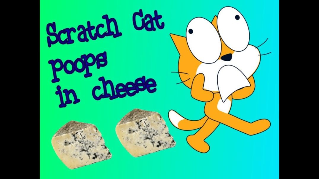 Scratch Cat poops in cheese