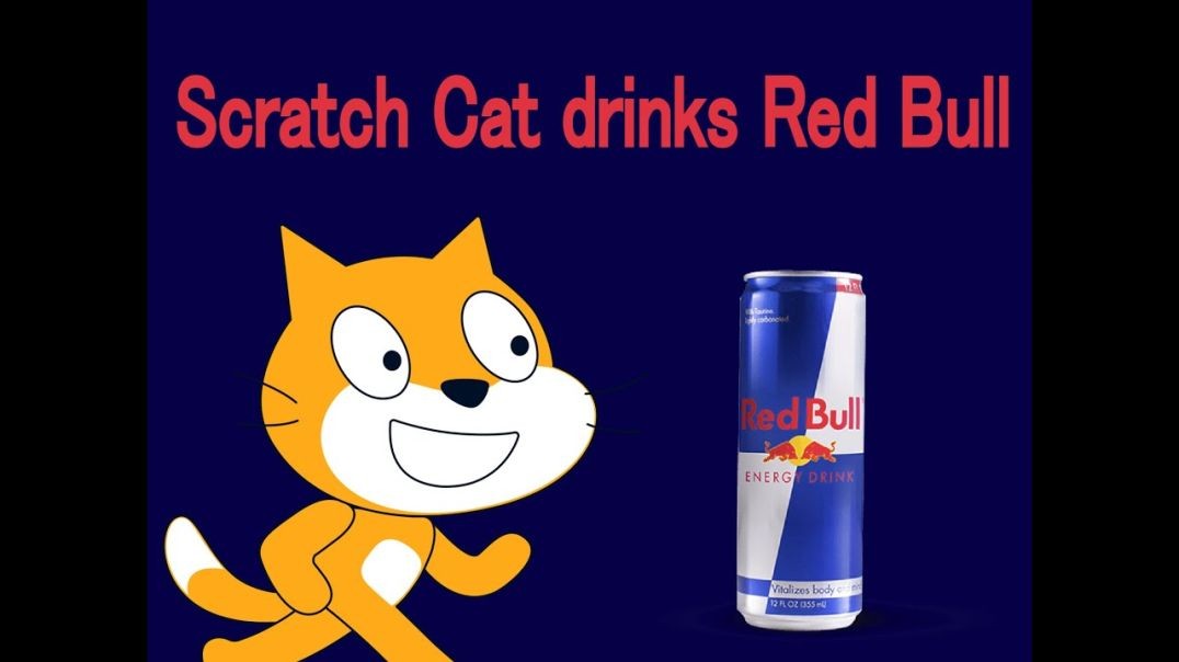 Scratch Cat drinks Red Bull